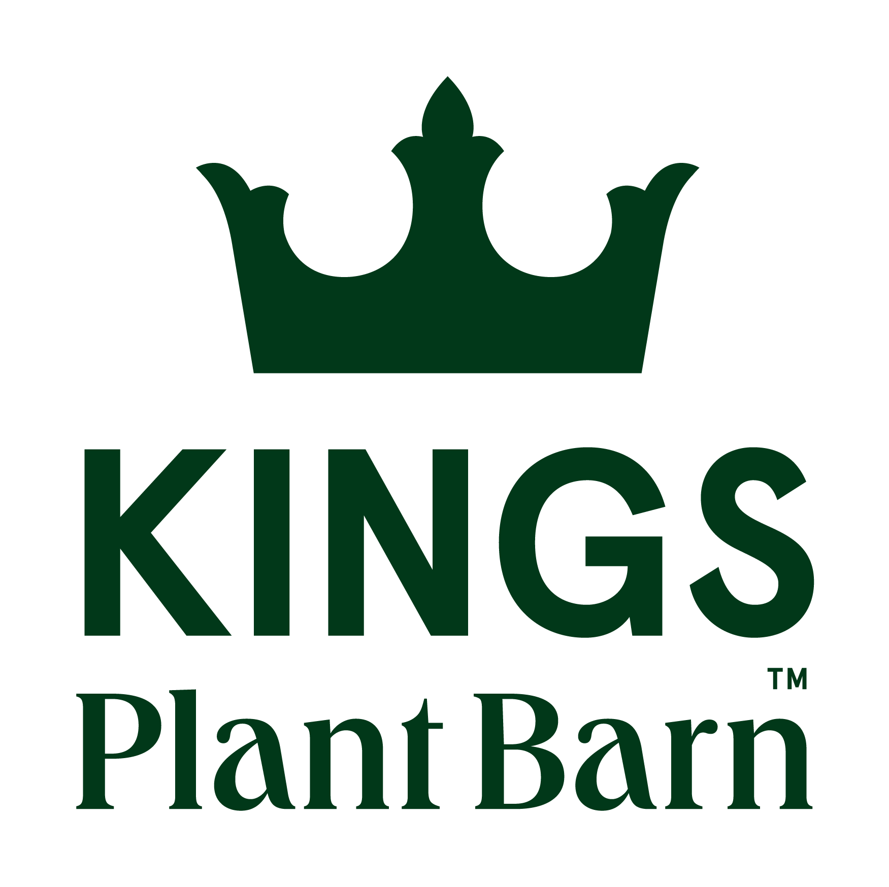 Kings Plant Barn St Lukes, Auckland